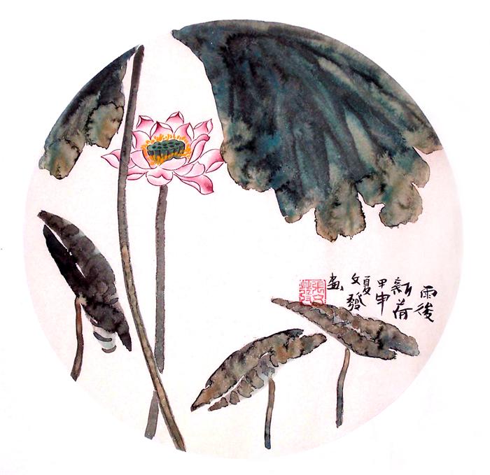 花鸟画。圆片雨后新荷 32.5x32.5  2004.jpg