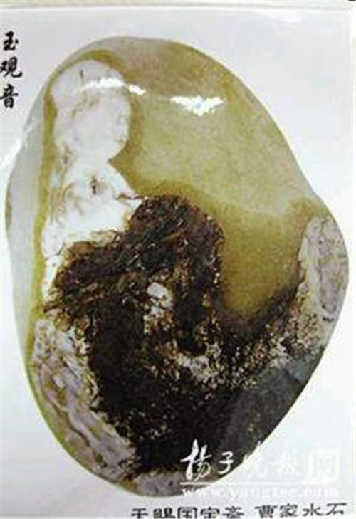 u=3499410586,674687942&fm=23&gp=0[1].jpg